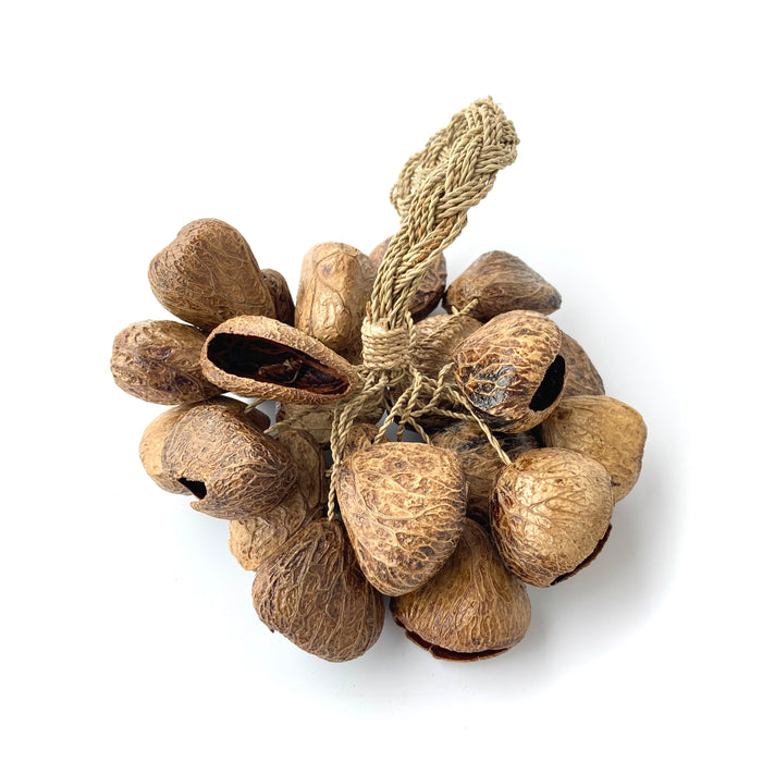 Spice Nut Loop Shaker Rattle
