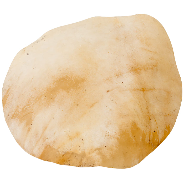 Meinl Goat Head For Djembefola