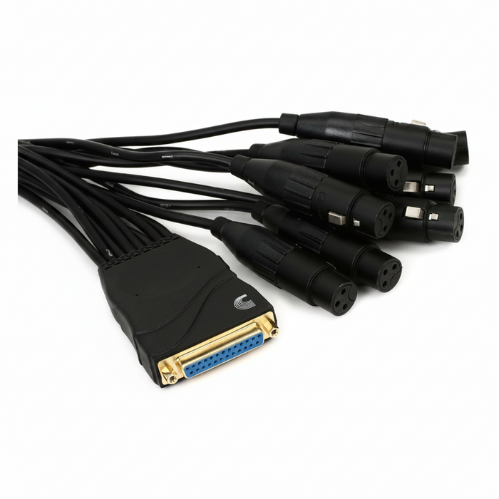 D'Addario Modular Snake XLR Male Breakout Cable - PW-XLRMB-01
