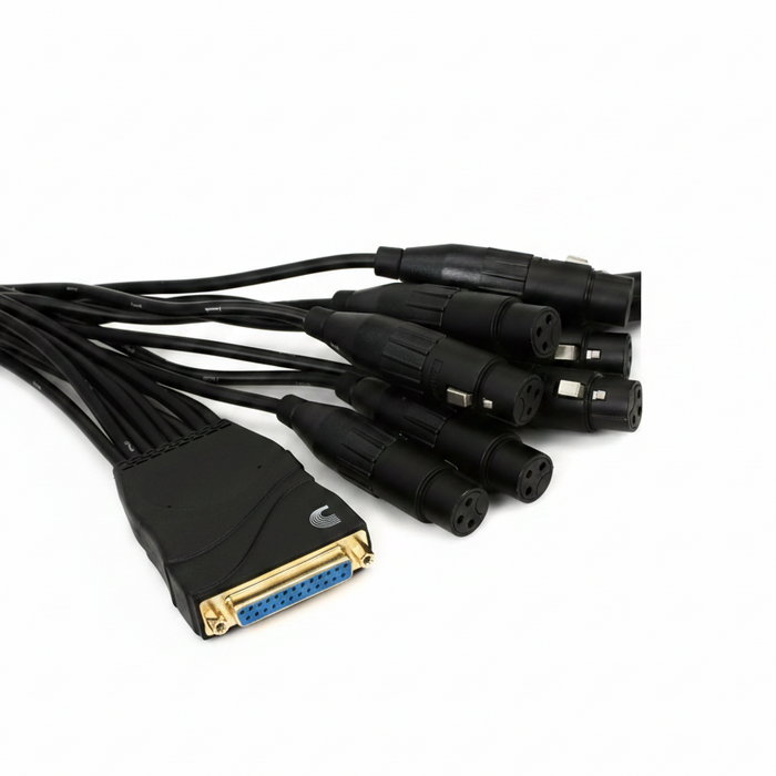 D'Addario Modular Snake XLR Female Breakout Cable - PW-XLRFB-01