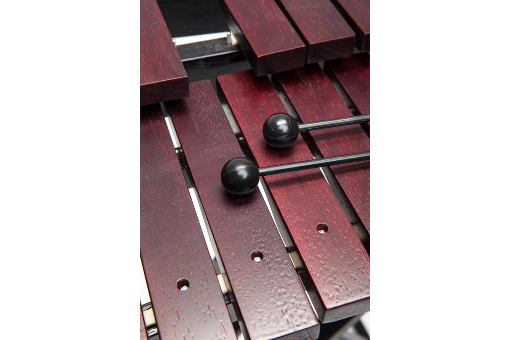 Stagg XYLO-SET 37 Desktop Xylophone Set With Stand - 37 Keys