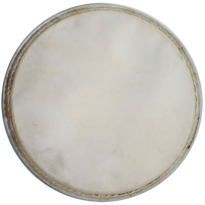 Meinl 12" Head For Plenera