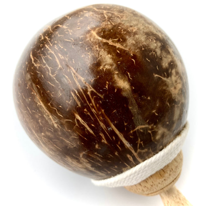 Coconut Maraca Shaker Rattle