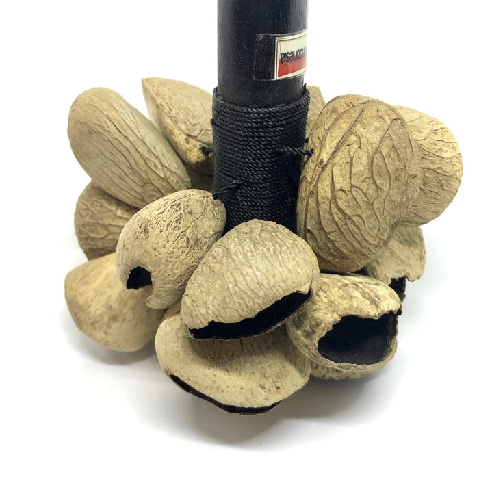 Spice Nut Shaker Rattle Stick - C
